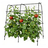 Garvee Tuteur Arche De Jardin Métal Vert 162 x 162 cm Support Fruits Vignes Résistant Intempéries Montage Rapide - Petit support pour pot de fleurs 160 x 160