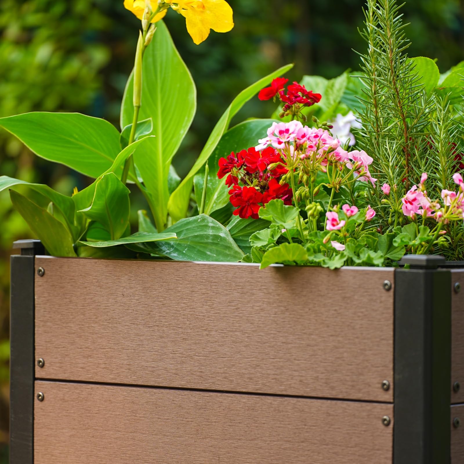 Garvee Jardinière surélevée aspect bois 64 × 64 × 58 cm, bac composite durable avec fond et drainage, gain de place, montage facile, légumes et fleurs