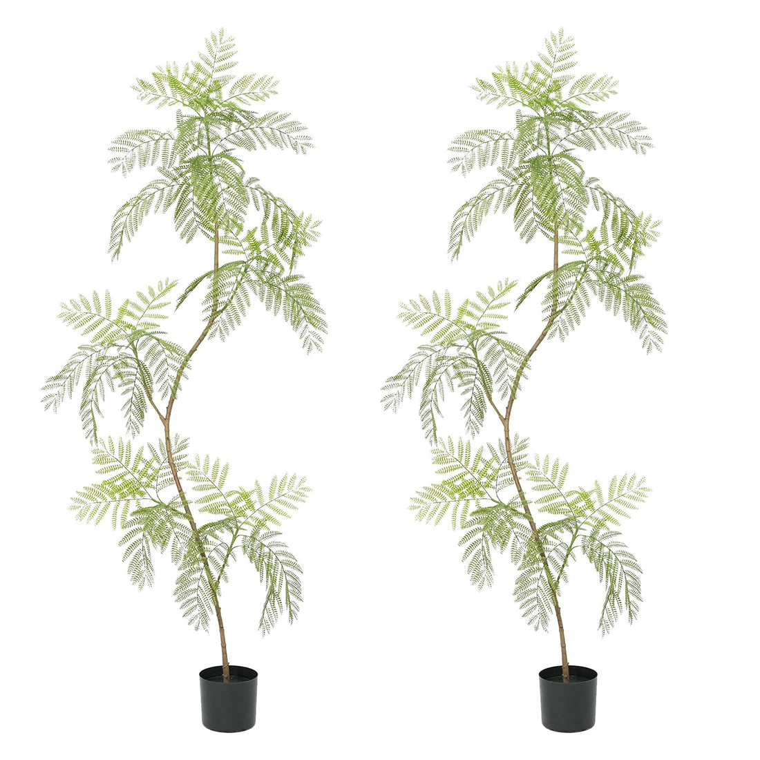 Jacaranda artificiel Garvee, lot de 2, 2 m (6,6 pi) avec feuilles réalistes, idéal pour le bureau et le salon. Entretien facile. Couleur verte.