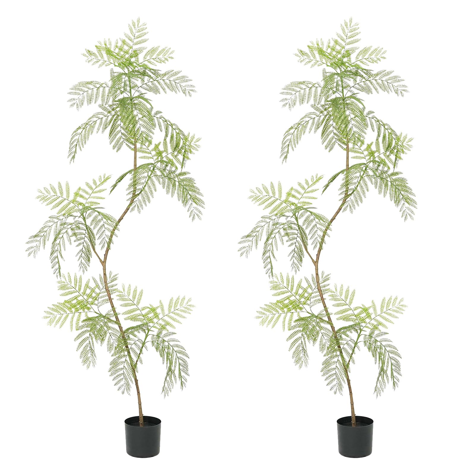 Jacaranda artificiel Garvee, lot de 2, 2 m (6,6 pi) avec feuilles réalistes, idéal pour le bureau et le salon. Entretien facile. Couleur verte.