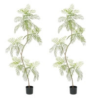 Jacaranda artificiel Garvee, lot de 2, 2 m (6,6 pi) avec feuilles réalistes, idéal pour le bureau et le salon. Entretien facile. Couleur verte.