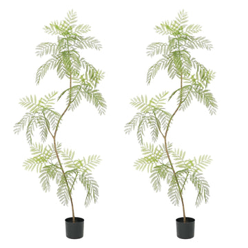 Jacaranda artificiel Garvee, lot de 2, 2 m (6,6 pi) avec feuilles réalistes, idéal pour le bureau et le salon. Entretien facile. Couleur verte.