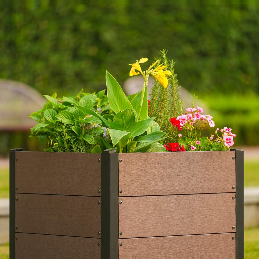 Garvee Jardinière surélevée aspect bois 64 x 64 x 58 cm, bac composite durable avec fond et drainage, gain de place, montage facile, légumes et fleurs