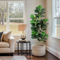Garvee Ficus lyrata artificiel 152 cm en polyester avec pot blanc, arbre décoratif réaliste et durable pour intérieur et extérieur