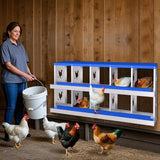Garvee Caisse à Nidification Poulets 10 Compartiments Acier Galvanisé Bleu Pour Poulailler