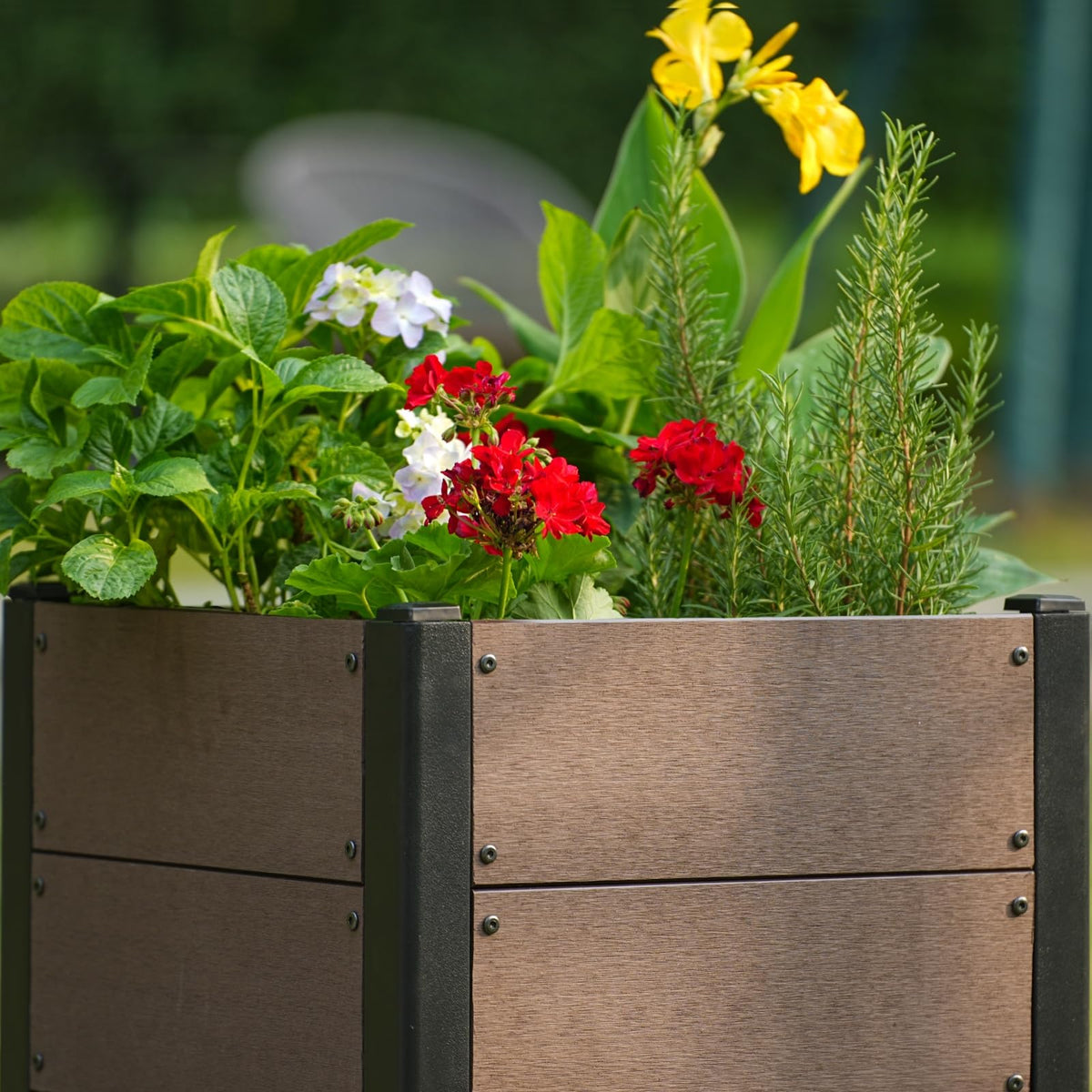 Bac potager avec structure stable et aspect bois