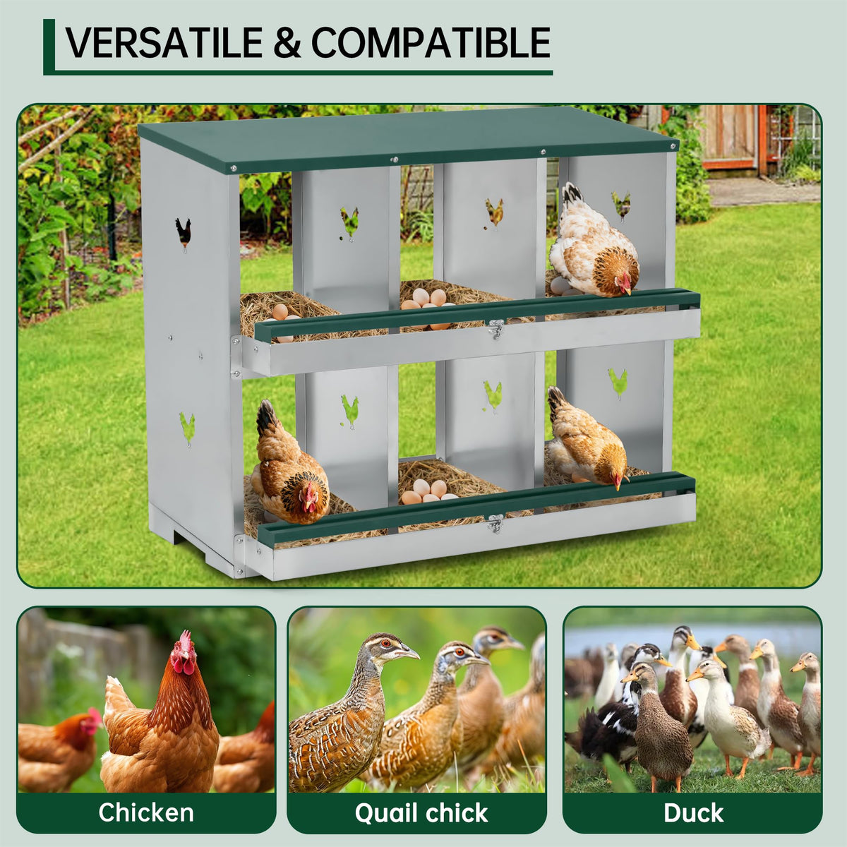 Garvee Pondoir pour Poules à 3 Compartiments, Acier Galvanisé, Grandes Ouvertures de Ventilation, Sécurisé, pour Poulailler, Vert