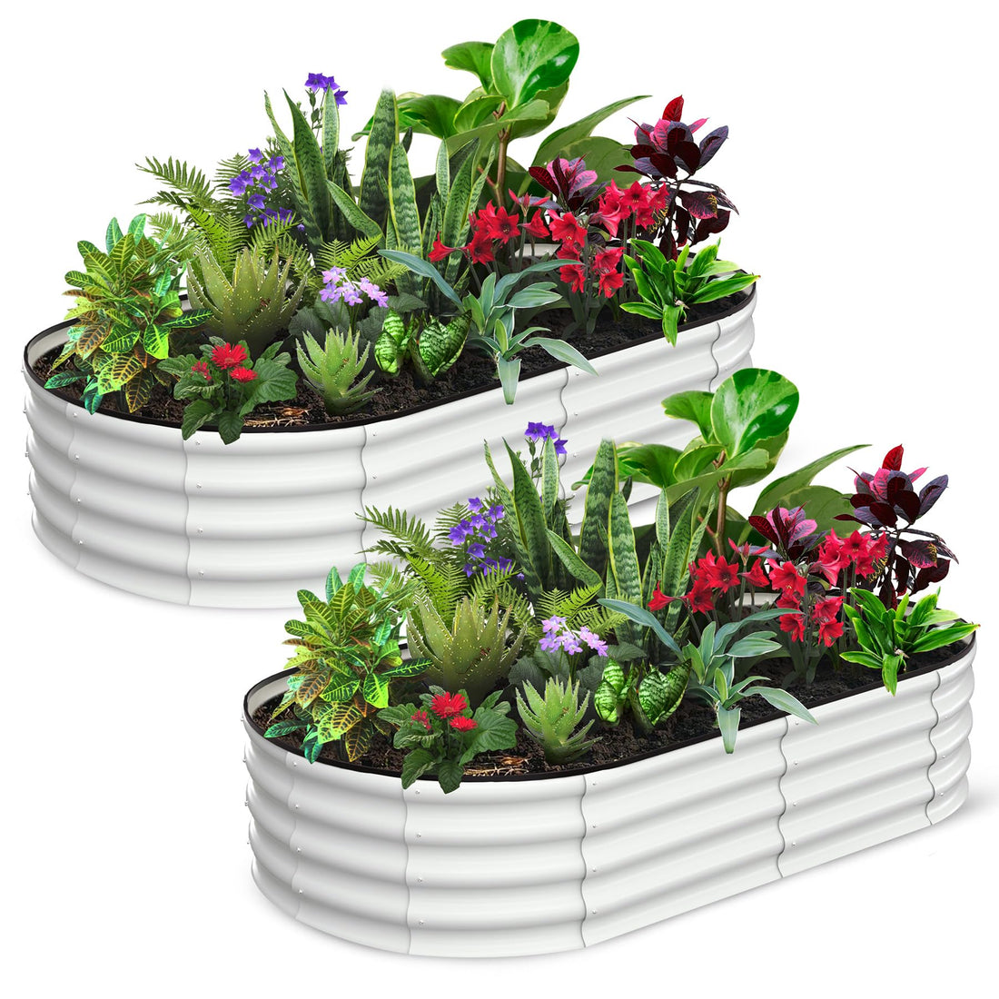 Garvee Lot de 2 Jardinières Ovales Surélevées 183 × 91 × 30 cm en Acier Galvanisé Blanc Crème, Drainage Optimal, Résistantes et Stables, pour Jardin et Terrasse