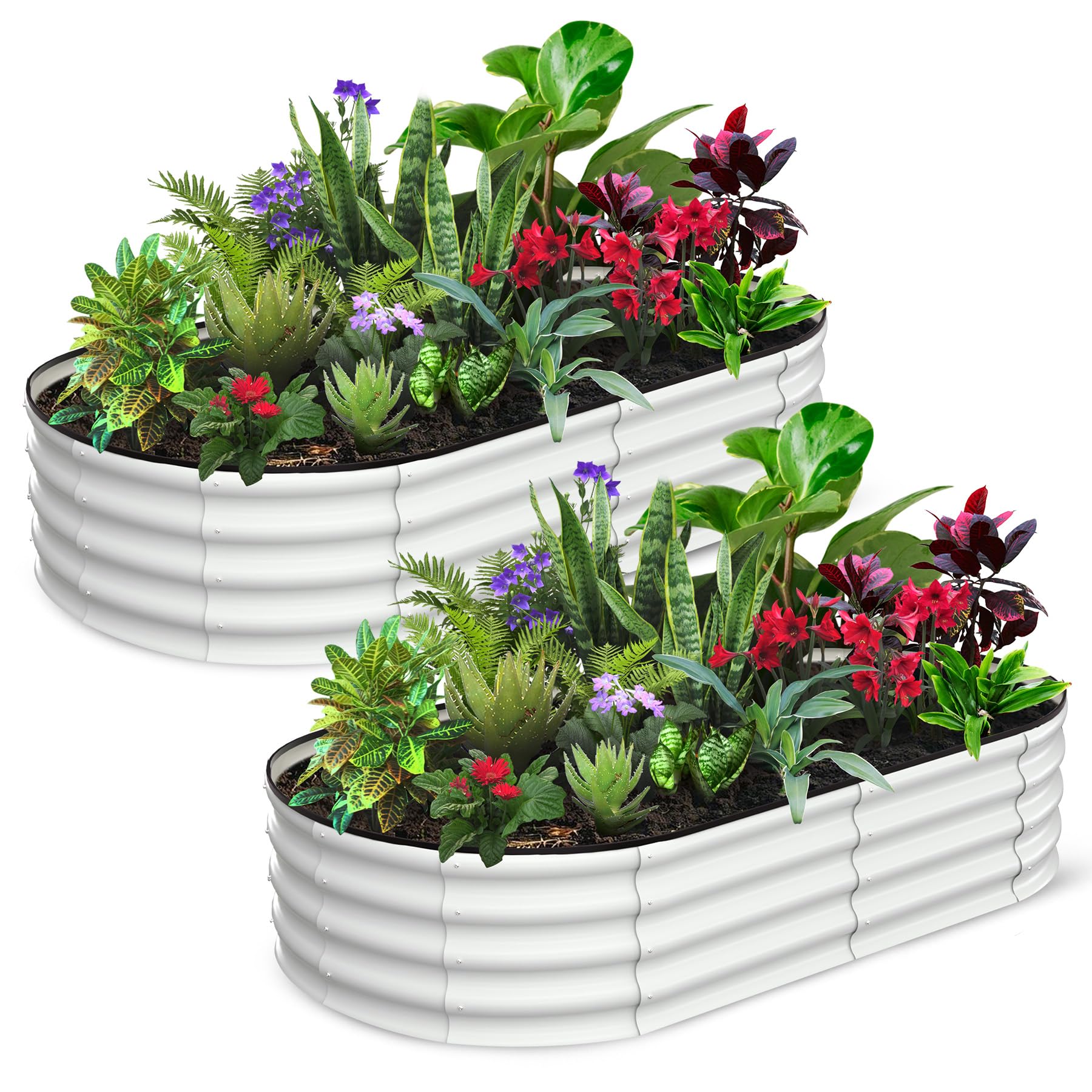 Garvee Lot de 2 Jardinières Ovales Surélevées 183 × 91 × 30 cm en Acier Galvanisé Blanc Crème, Drainage Optimal, Résistantes et Stables, pour Jardin et Terrasse
