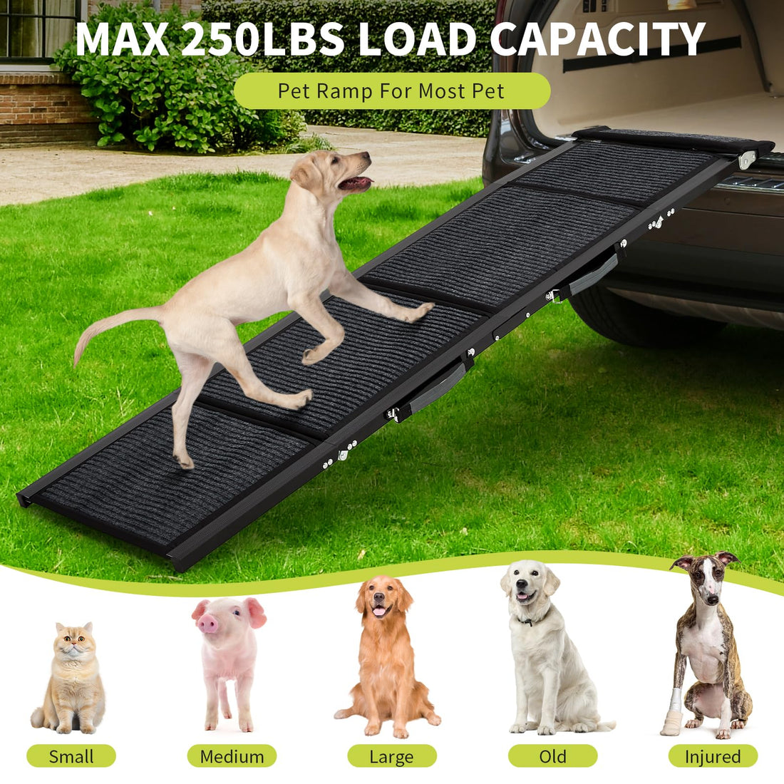 Garvee Rampe pliable pour chien en aluminium 180 x 50cm, antidérapante, supporte jusqu’à 120kg, idéale voiture, canapé