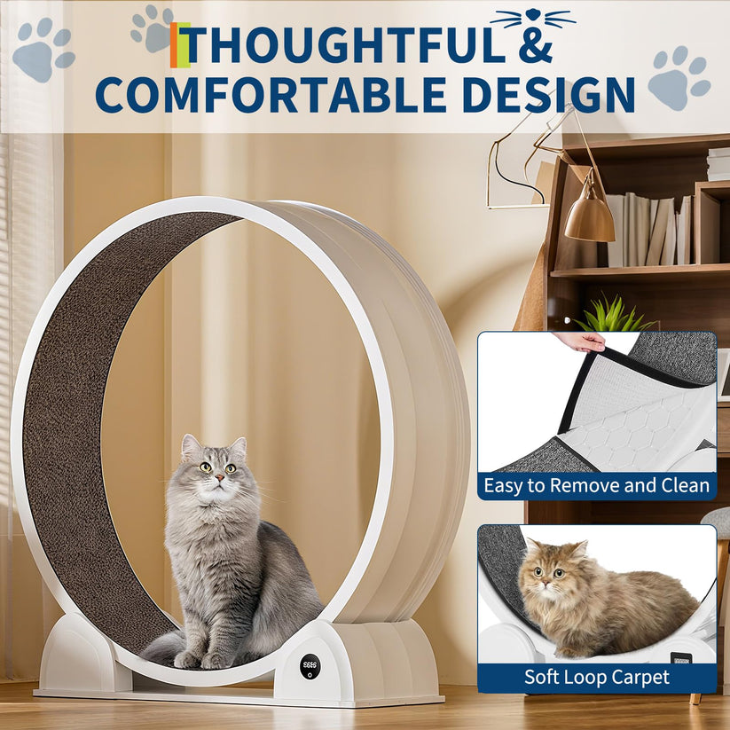 Roue d’exercice pour chat avec podomètre intégré