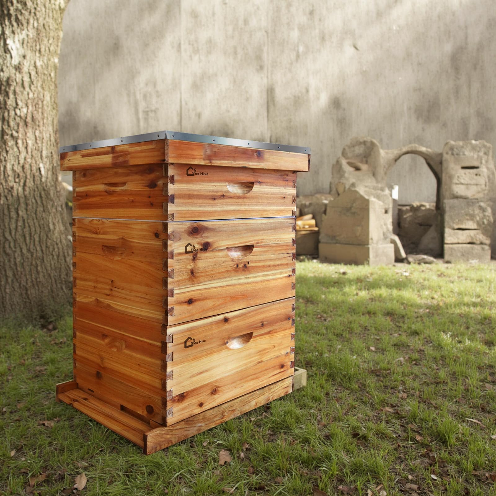 Kit de démarrage pour ruche Garvee Langstroth à 10 cadres en bois de cèdre et cire d'abeille, kit complet d'accessoires pour ruche.