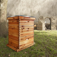 Kit de démarrage pour ruche Garvee Langstroth à 10 cadres en bois de cèdre et cire d'abeille, kit complet d'accessoires pour ruche.