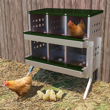 Nichoirs Garvee pour poules, 6 compartiments, en métal, dimensions totales avec support : 69 x 43 x 78 cm, dimensions par compartiment : 23 x 25 x 21,5 cm, acier galvanisé étanche, pour 6 poules (vert)
