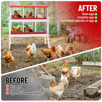 Garvee pondoir pour poules à 6 compartiments avec pieds, collecteur d’œufs automatique en acier galvanisé de 0,7 mm, nichoir avec toit incliné pour volailles, poulailler et ferme, rouge