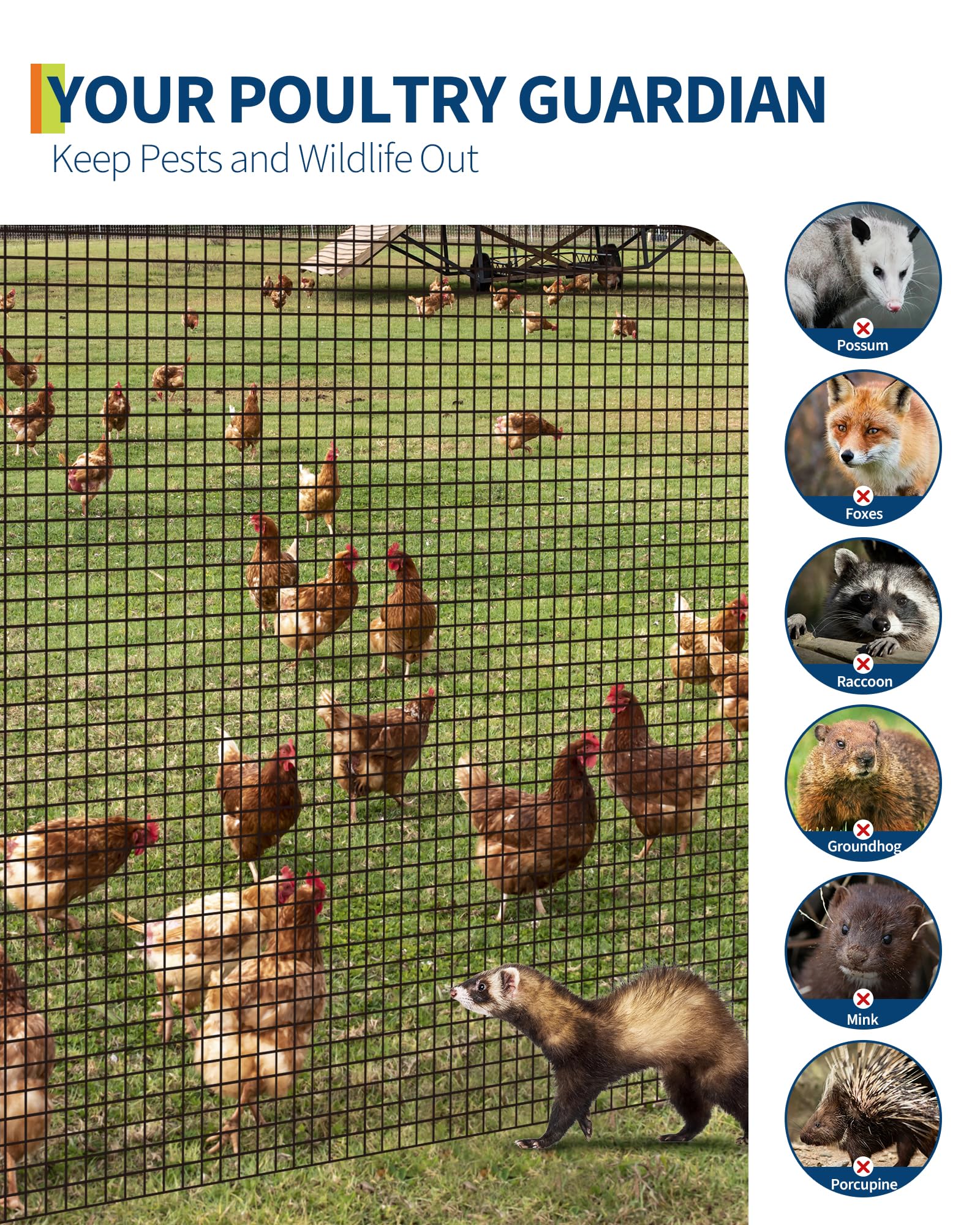 GARVEE Grillage hexagonal 0,91 × 30,48 m en acier galvanisé antirouille, bords lisses, pour jardin, poulailler et protection petits animaux