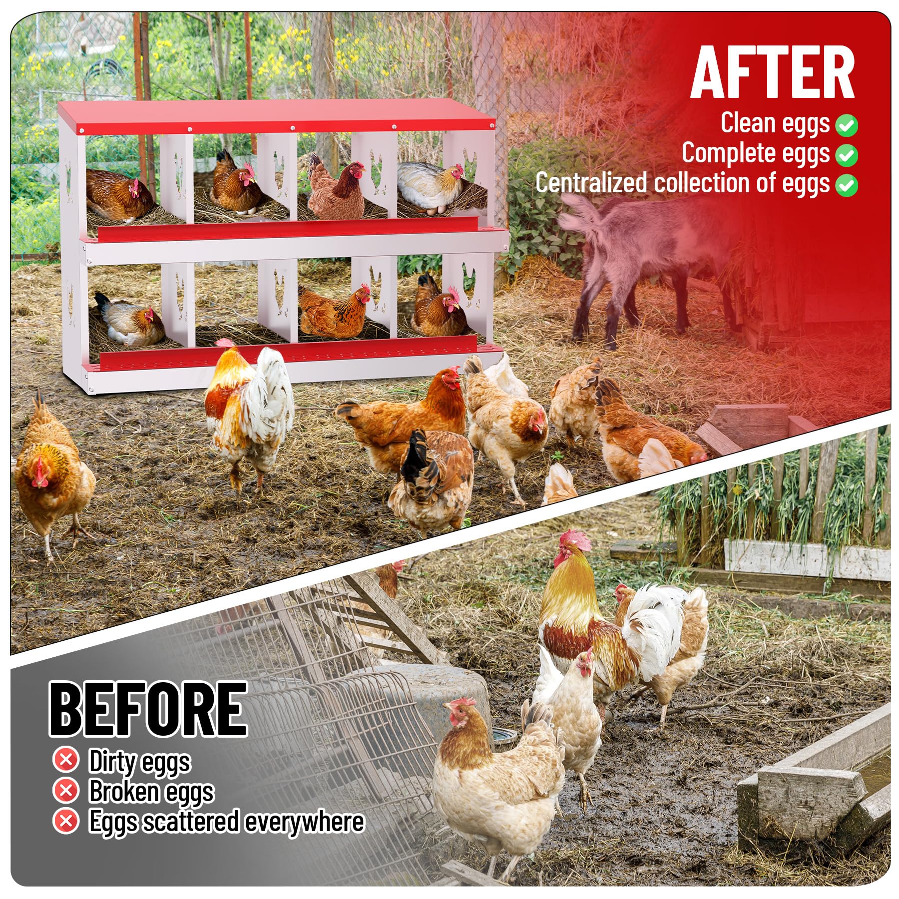 Garvee pondoir pour poules à 8 compartiments en acier galvanisé, résistant à la rouille, durable et ventilé, collecte des œufs facile, idéal pour poulailler