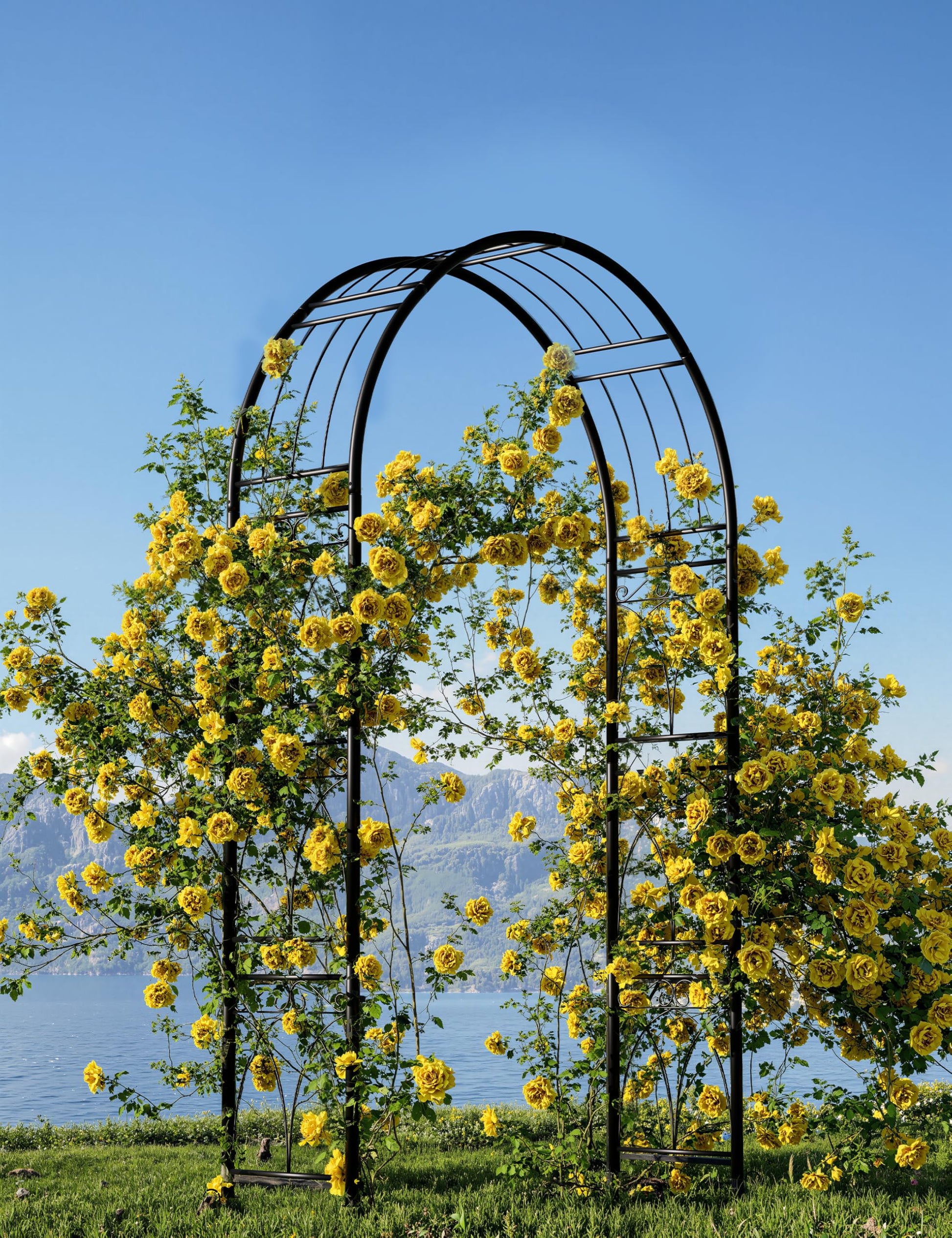 Arche de jardin Garvee 2,4 m (8 pi) en acier, revêtement en poudre, résistante aux intempéries, avec piquets de fixation pour jardin et mariage, 150 cm de large, 240 cm de haut, noire