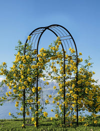 Arche de jardin Garvee 2,4 m (8 pi) en acier, revêtement en poudre, résistante aux intempéries, avec piquets de fixation pour jardin et mariage, 150 cm de large, 240 cm de haut, noire