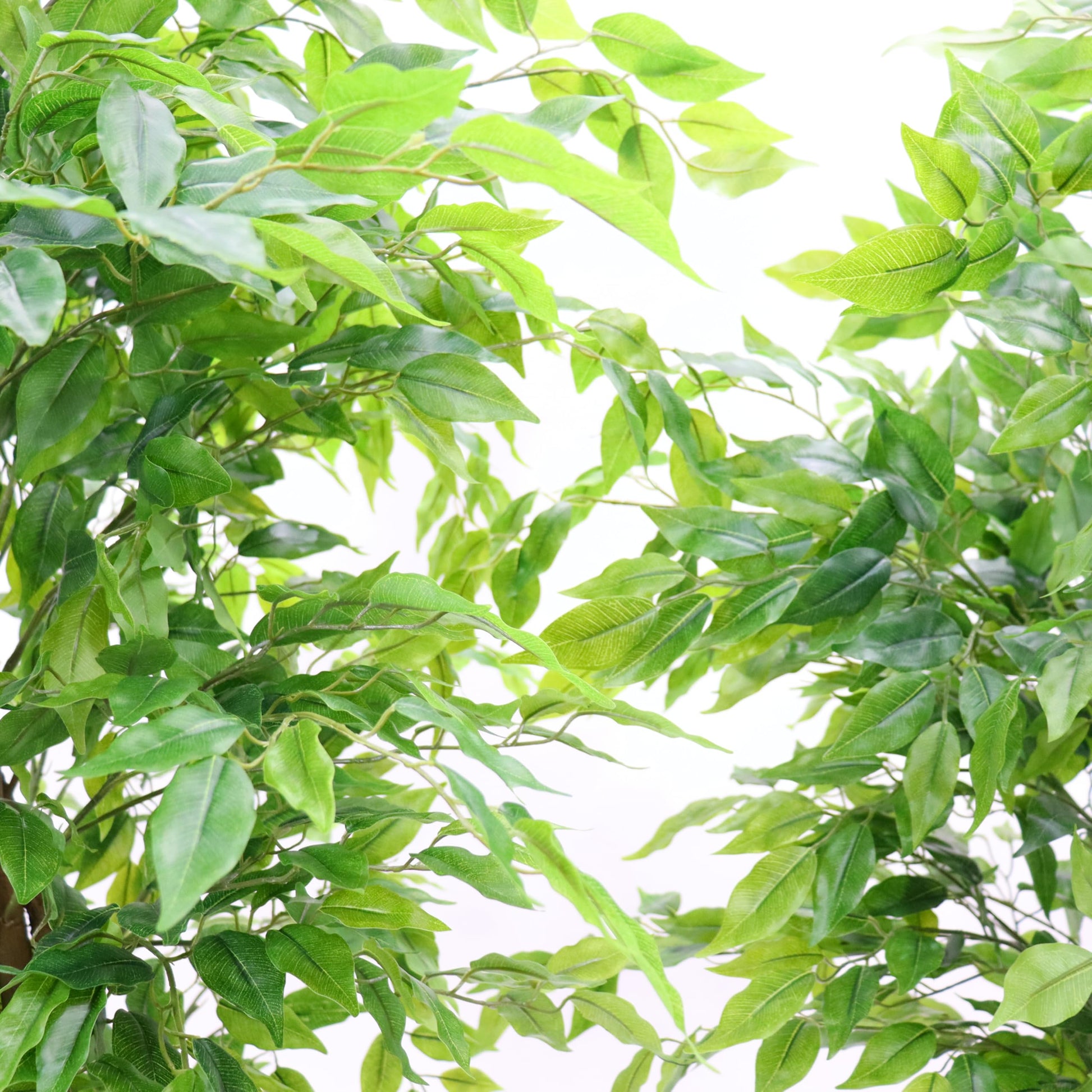 Ficus artificiel Garvee de 1,5 m avec feuilles en soie et pot en ciment robuste, vert, pour la maison et le bureau