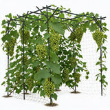 Garvee Arche De Jardin Métallique Treillis Résistant Pour Jardin Extérieur 78x78x78 cm Acier Polyéthylène Anti-Rouille - 