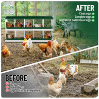 Garvee pondoir pour poules à 10 compartiments, acier galvanisé de 0,7 mm, collecteur d’œufs, conception inclinée, installation facile, idéal pour poulaillers, vert