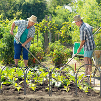 Ensemble de 2 treillis de jardin Garvee en fer forgé noir robuste et résistant aux intempéries pour rosiers, légumes et terrasse. Dimensions : 182 cm (H) x 52 cm (L).