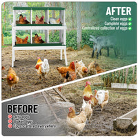 Garvee pondoir pour poules à 6 compartiments avec support métallique, acier galvanisé de 0,7 mm, idéal pour poulaillers, fermes et basses-cours, vert