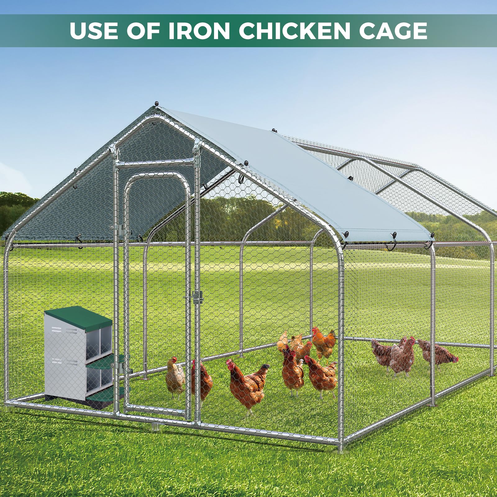 Garvee Nichoir pour Poules 4 Compartiments à 2 Niveaux, Métal Galvanisé au Zinc avec Poignée en Plastique et Plateau Amovible, Vert