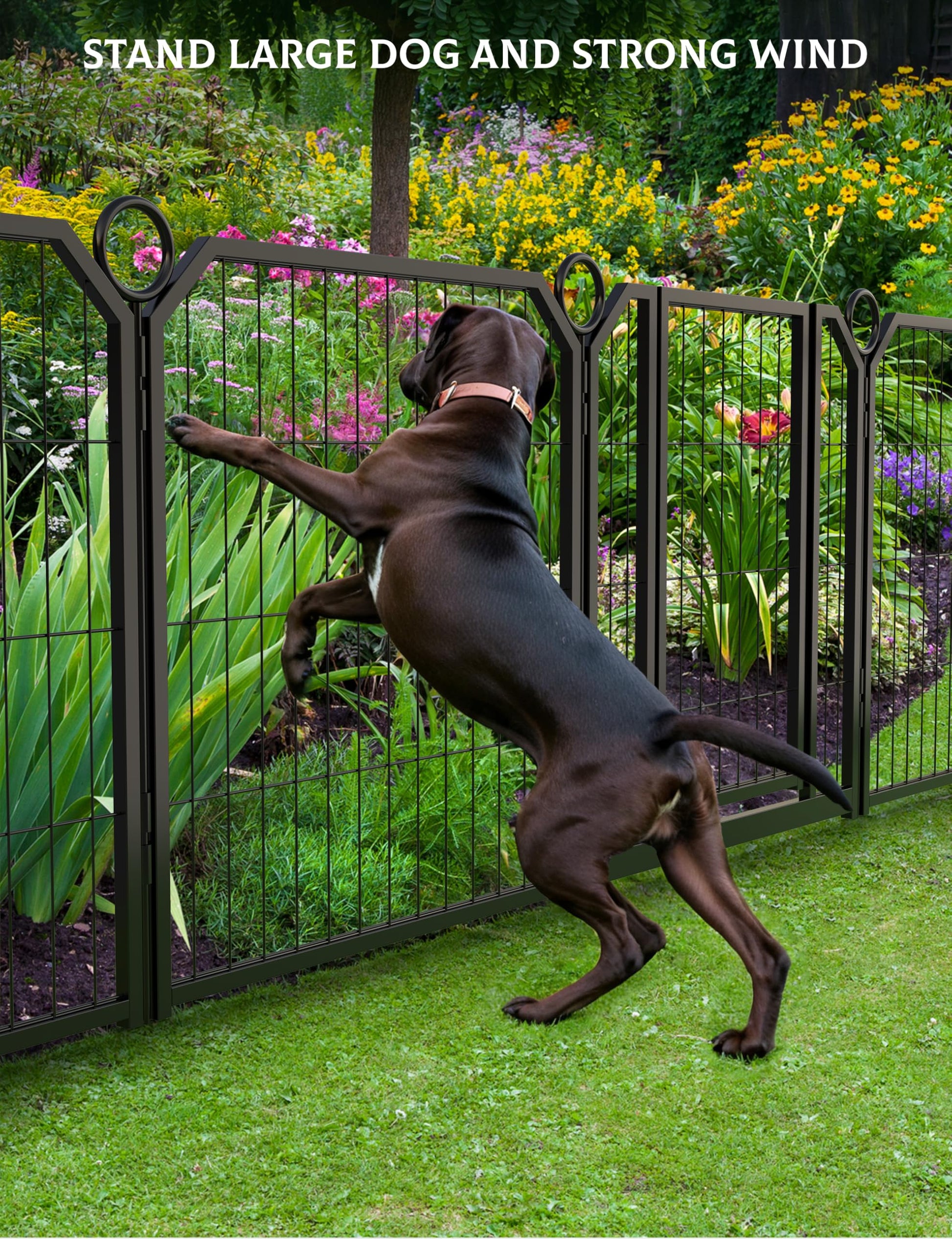 Garvee Parc pour Chien 81 cm, 16 Panneaux en Métal Robuste, Enclos Intérieur/Extérieur pour Chiot, Camping-Car, Jardin et Cour