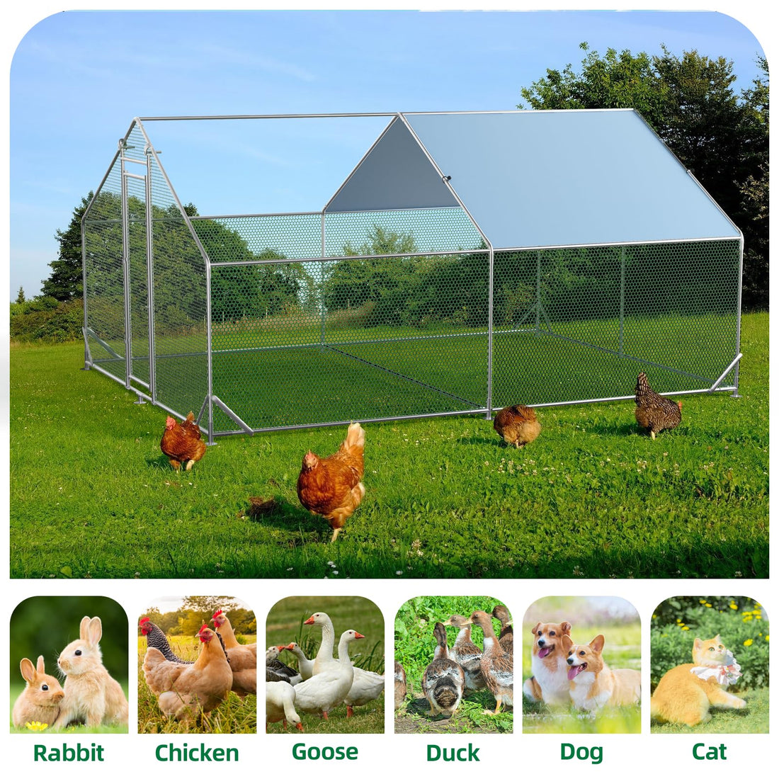 Garvee poulailler métallique grand format 300 × 400 × 195 cm, deux compartiments, structure tubulaire en acier triplement renforcée pour jardin et ferme