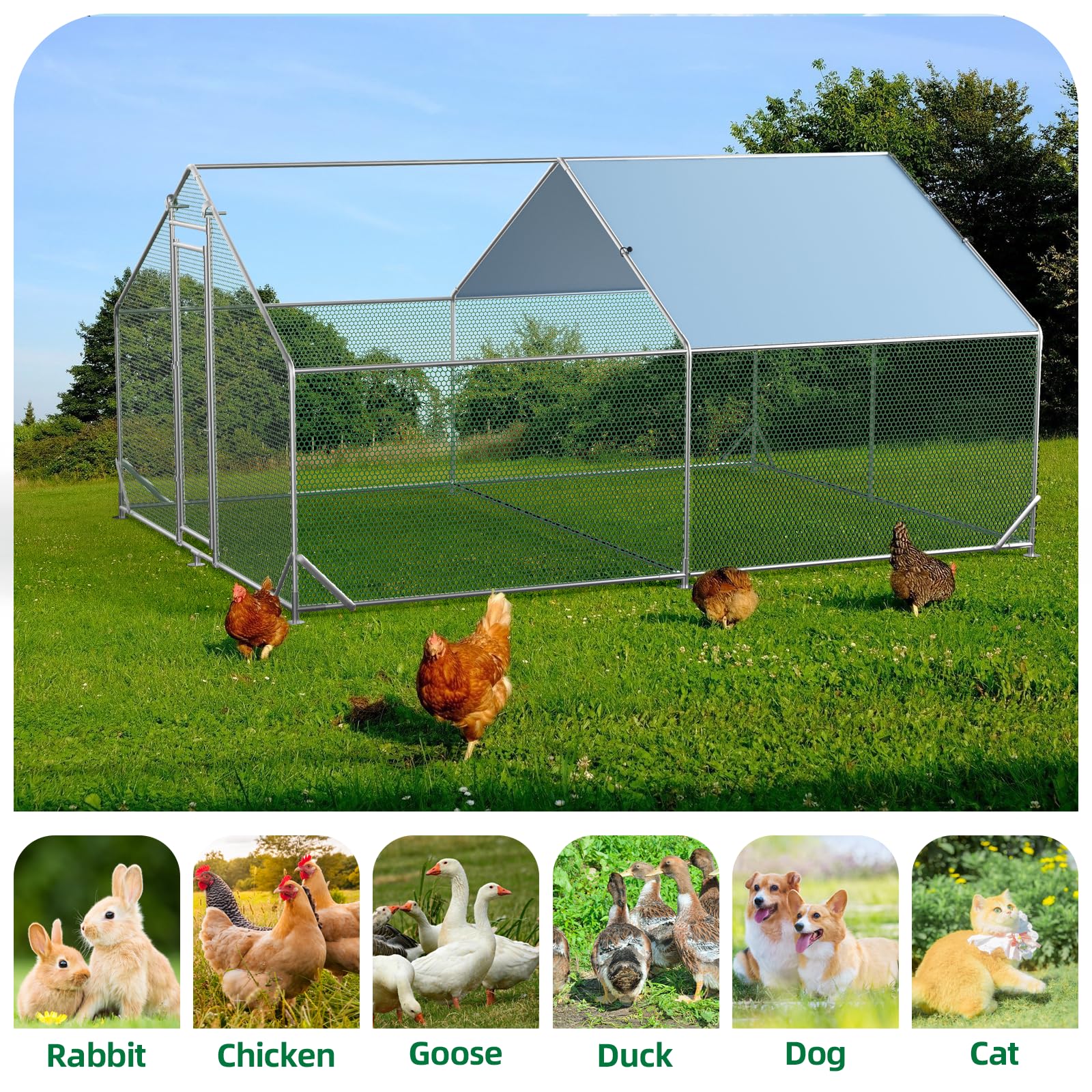 Poulailler métallique Garvee grand format 300 × 400 × 195 cm – Deux compartiments, structure tubulaire en acier triplement renforcée pour jardin et ferme