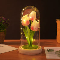 Veilleuse tulipe GARVEE avec couvercle en verre, rose, pour chambre et table de chevet, lampe tulipe LED