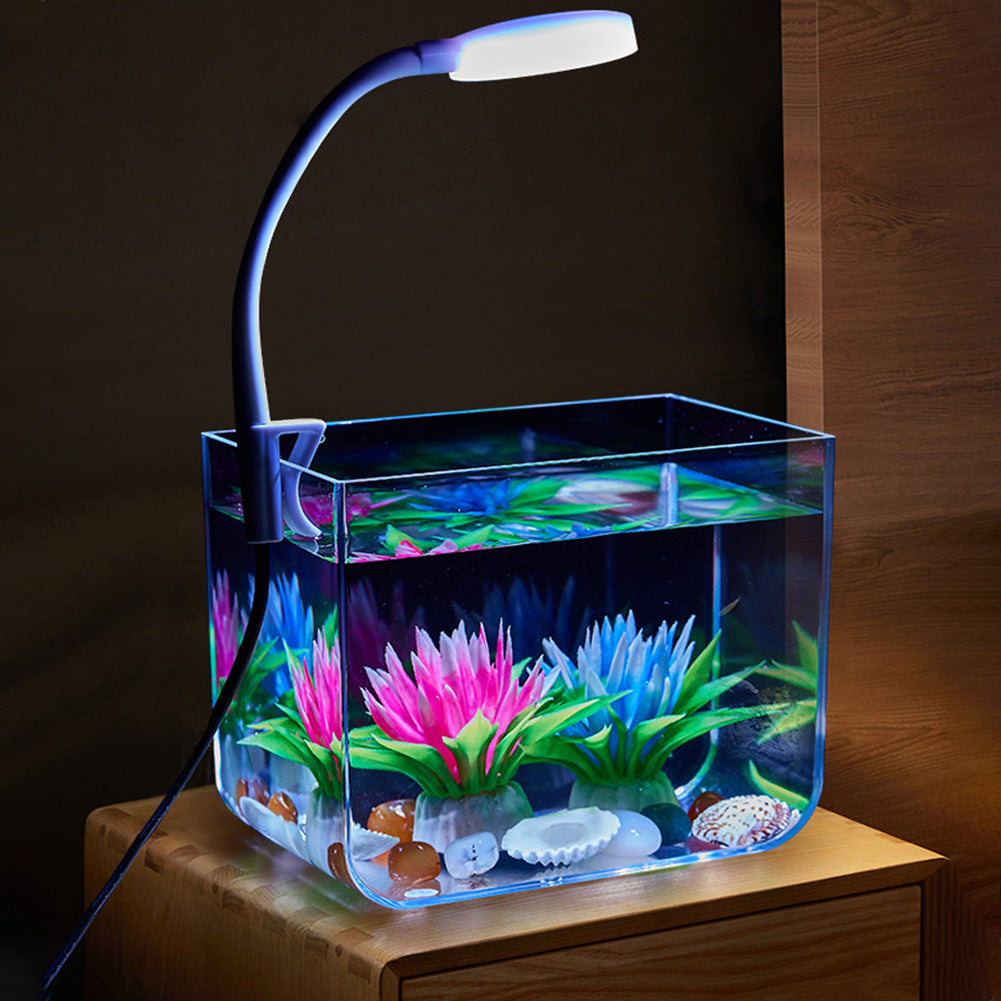 Petit aquarium Garvee avec éclairage, filtre mural, base antidérapante pour salon, vue à 360°, grand écran, matériau PS, kit de démarrage, transparent