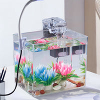Petit aquarium Garvee avec éclairage, filtre mural, base antidérapante pour salon, vue à 360°, grand écran, matériau PS, kit de démarrage, transparent