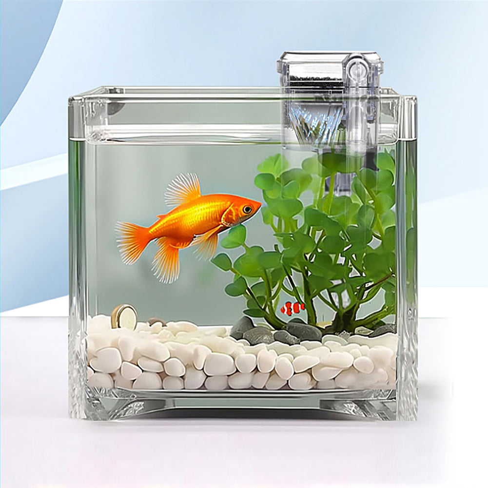 Filtre d'aquarium Garvee USB Mini silencieux avec débit d'eau réglable pour aquariums, 2,5 W, fixation murale