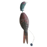 Jouet interactif pour chien Garvee, jouet à mâcher, jouet d'entraînement, jouet aquatique 21x12cm, motif dinde