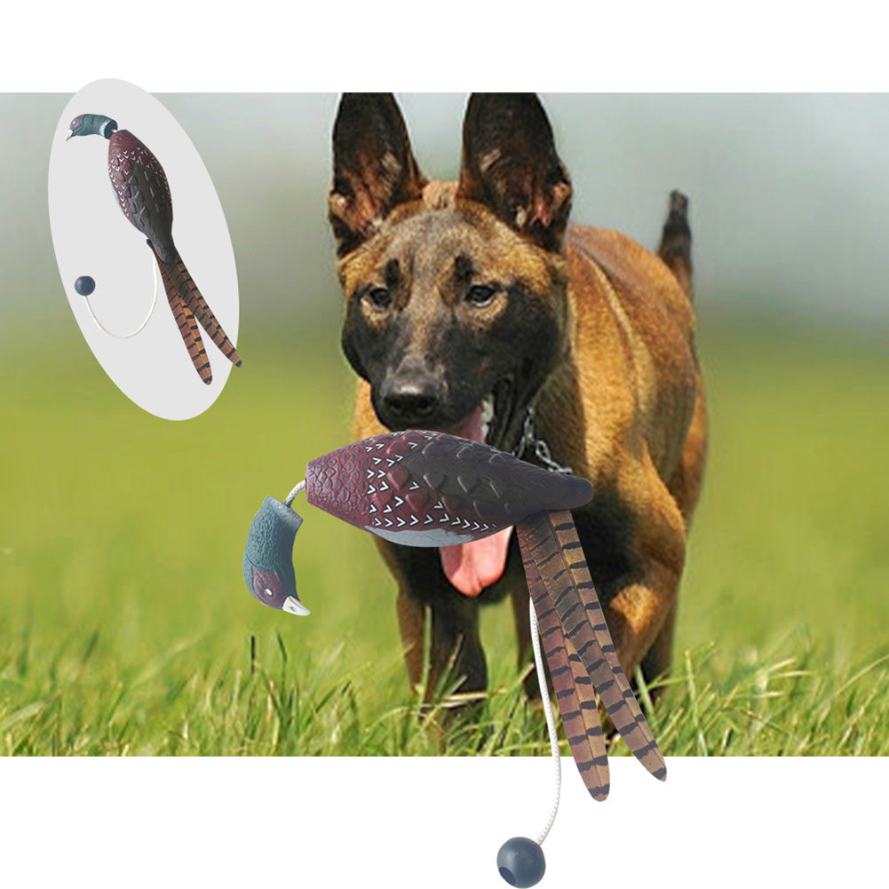 Jouet interactif pour chien Garvee, jouet à mâcher, jouet d'entraînement, jouet aquatique 21x12cm, motif dinde