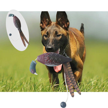 Jouet interactif pour chien Garvee, jouet à mâcher, jouet d'entraînement, jouet aquatique 21x12cm, motif dinde