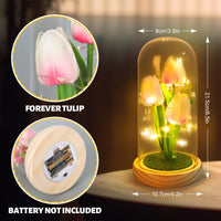 Veilleuse tulipe GARVEE avec couvercle en verre, rose, pour chambre et table de chevet, lampe tulipe LED