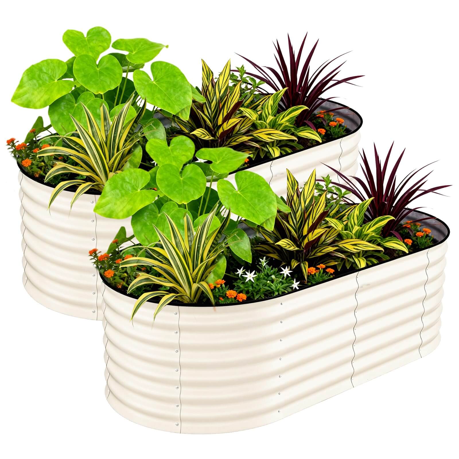 Garvee Bac Potager Surélevé en Acier Galvanisé Antirouille (Lot de 2) – Fond Ouvert, Bordure Anti-Coupure, Montage Facile – Beige / Vert