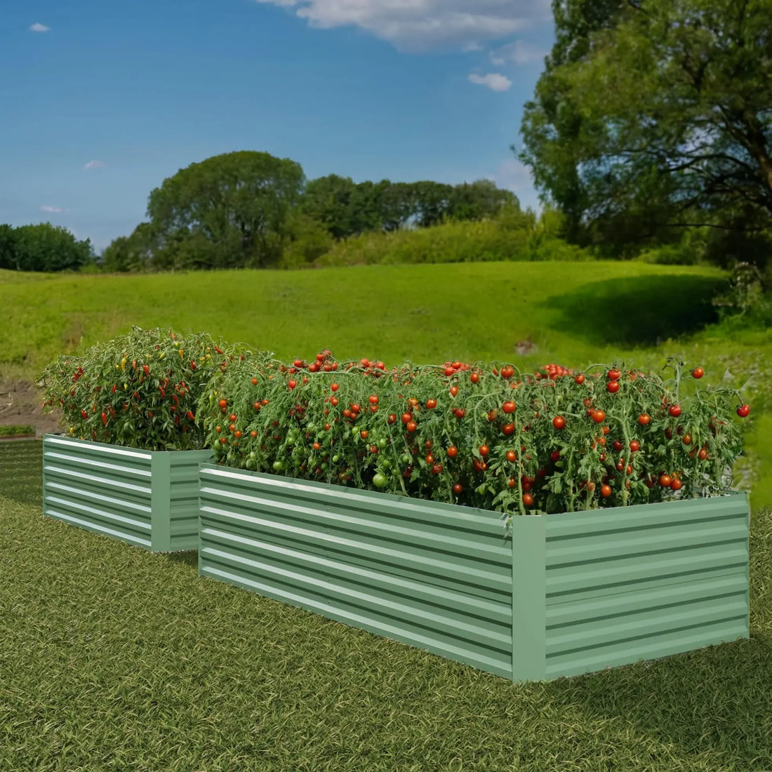 Garvee Carré Potager Surélevé en Métal Galvanisé 244 × 122 × 61 cm, Fond Ouvert, Résistant à la Rouille et aux Intempéries, Vert