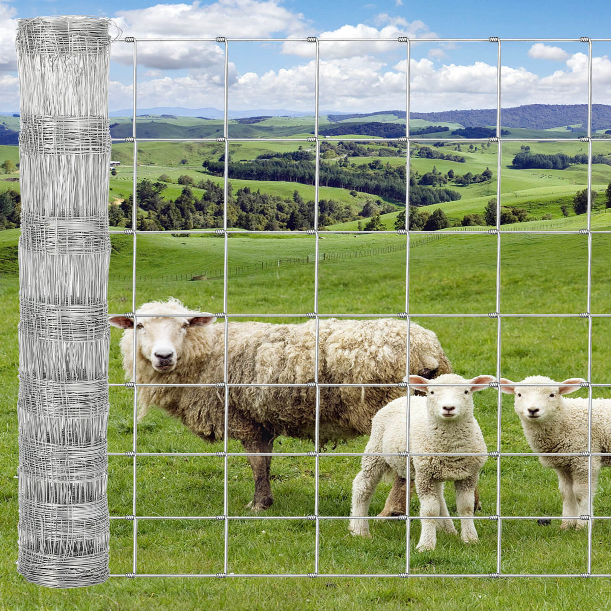 Garvee Grillage Agricole Galvanisé Renforcé 1,2 x 100 m, Clôture pour Chèvres, Porcs et Cerfs, Maille Zinguée pour Protection du Bétail