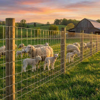 Garvee Grillage Agricole Galvanisé Renforcé 1,2 x 100 m, Clôture pour Chèvres, Porcs et Cerfs, Maille Zinguée pour Protection du Bétail