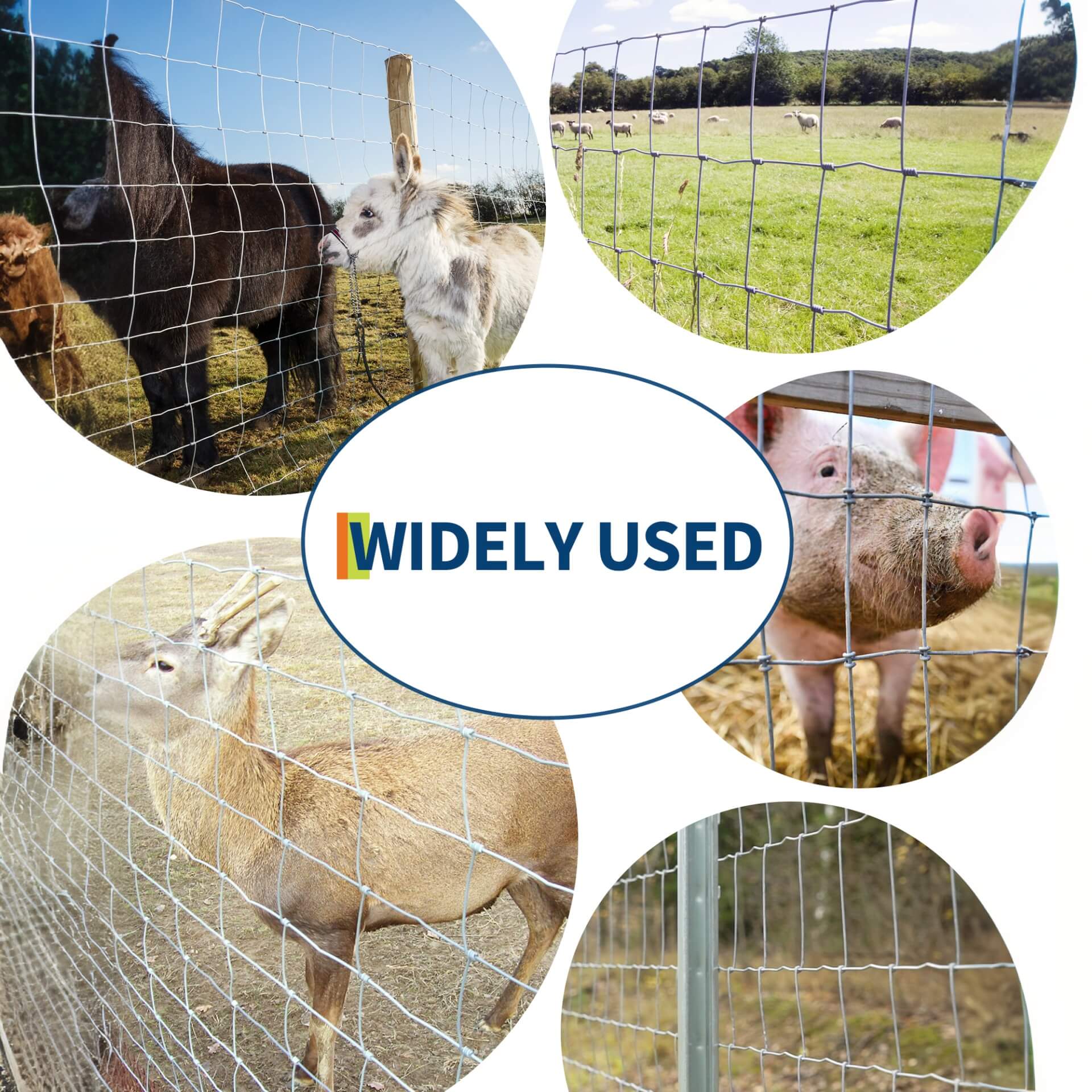 Clôture pour bétail Garvee 1.52 × 100 m en acier galvanisé avec maille soudée renforcée