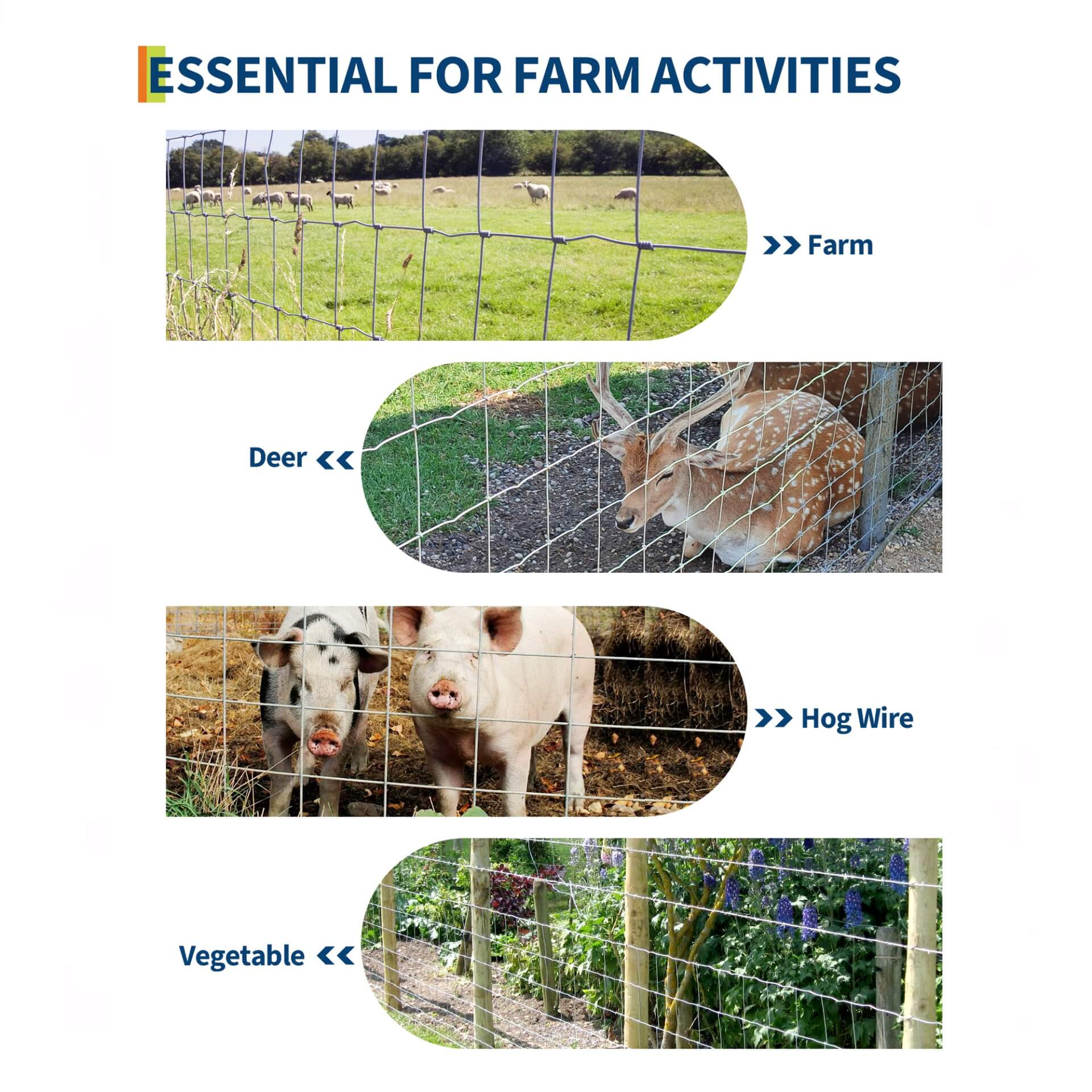 Clôture pour bétail Garvee 1.52 × 100 m en acier galvanisé avec maille soudée renforcée