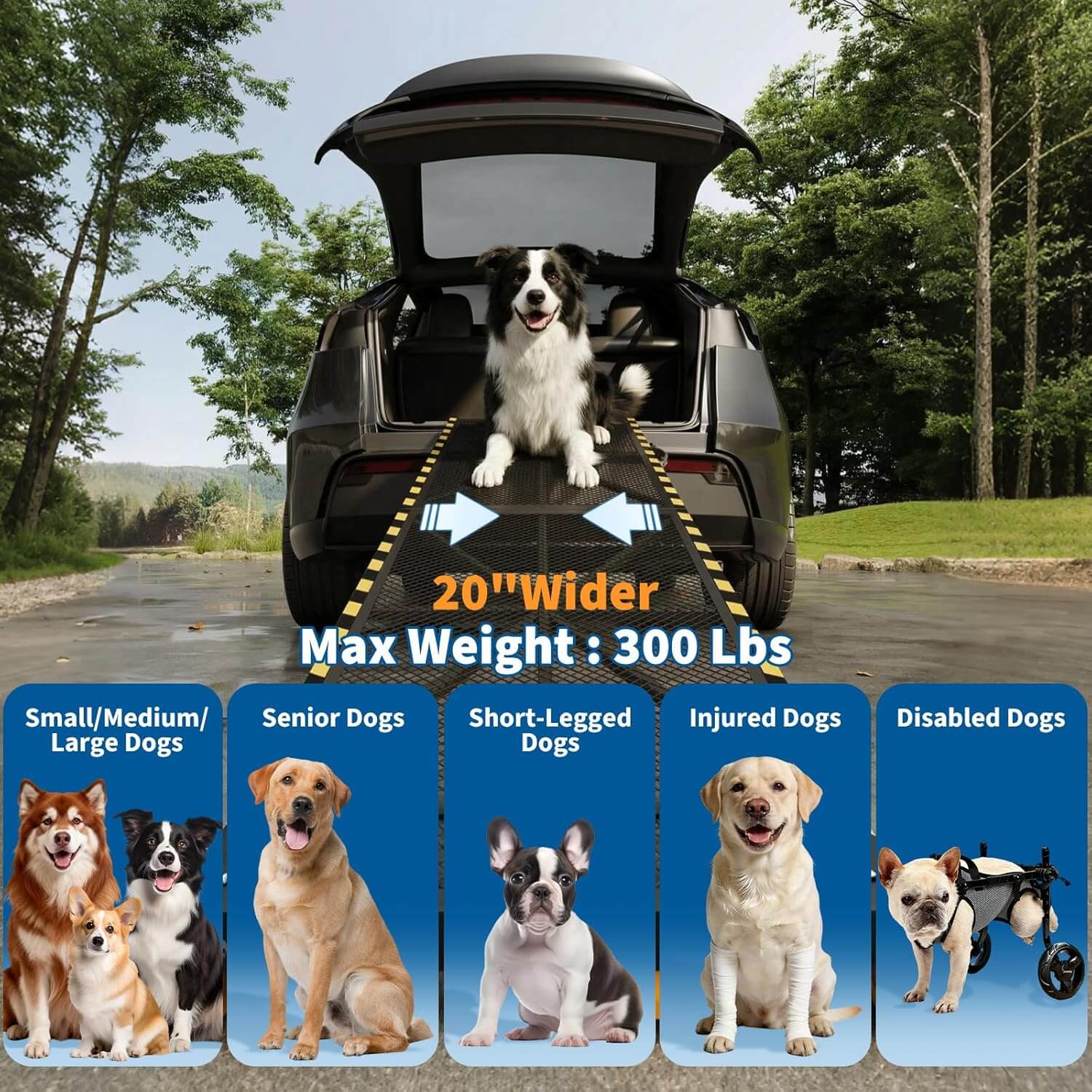 Garvee Rampe d'Accès pour Chien Pliable pour Voiture, 190,5 × 51 cm, Capacité jusqu'à 136 kg, en Acier Antidérapant, pour Chiens de Grande Taille et Âgés, SUV et Camping-Cars