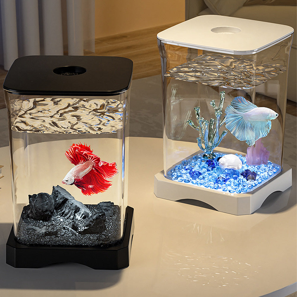 Ensemble complet d'aquarium Garvee pour poissons combattants avec filtre, en verre de 7,5 litres, compact et décoratif pour la maison et le bureau.