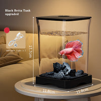 Aquarium Garvee pour poissons combattants, 7,5 litres, ensemble complet avec filtre et verre décoratif pour la maison et le bureau