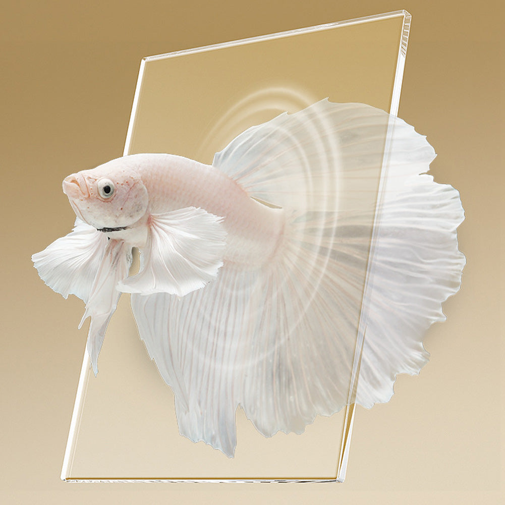 Ensemble complet d'aquarium Garvee pour poissons combattants avec filtre, en verre de 7,5 litres, compact et décoratif pour la maison et le bureau.